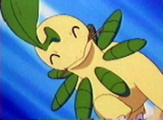 Bayleef de Ash