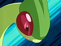 Flygon de Drew