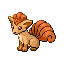 Imagen de Vulpix en Pokémon Rubí y Zafiro