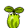 Imagen posterior de Sunkern en la segunda generación