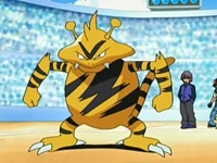 Electabuzz de Paul/Polo