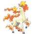 Rapidash