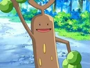 Sudowoodo de Brock