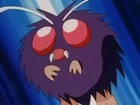 Venonat de Tracey