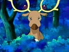 Stantler de Paul/Polo