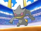 Banette de Harley