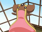Gastrodon de Cintia
