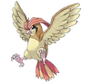 Pidgeotto