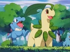 Bayleef de Ash
