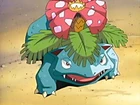 Venusaur de Aniceto