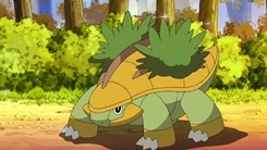 Grotle de Ash