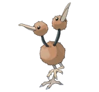 Doduo