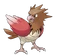 Spearow