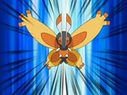 Mothim de Malta