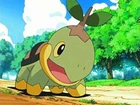 Turtwig de Gardenia