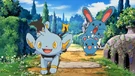 Imagen de Shinx