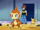 Chimchar de Ash