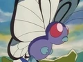 120px-EP004_Butterfree_de_Ash.png