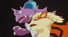 Imagen de Arcanine
