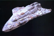 Crucero Estelar Calamari