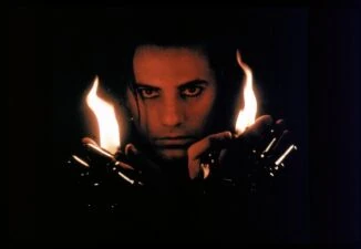 Image of Dark Tiger