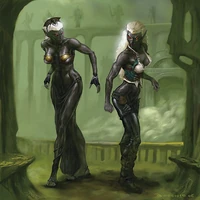 Modebewusste Drow