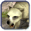 Image:Polar bear.gif