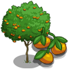 File:Mandarin Tree-icon.png