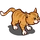 Orange Tabby