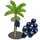 Acai Tree