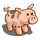 Ossabaw Pig