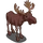 Moose