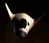 Farscape-1 in space.