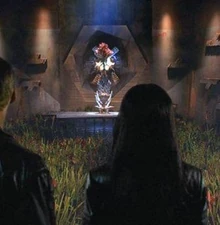 The matriarch plant