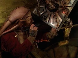 D'Argo examines the contraceptive shield.