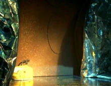 "Pike" gets left behind.