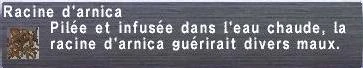 Image:Racine d'arnica.jpg