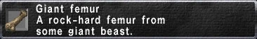 Giant Femur