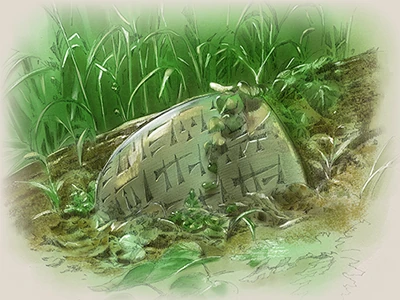 llustration&nbsp;: Mitsuhiro Arita