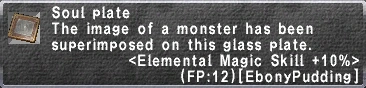 Elemental Magic Skill +10%