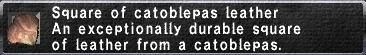 Image:Catoblepas Leather.JPG