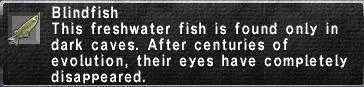 File:Blindfish.JPG