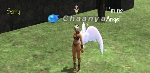 Image:User-Chocobo-meow.jpg