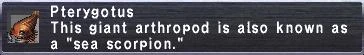 File:Pterygotus.JPG