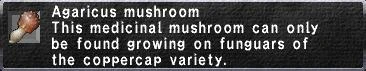 File:Agaricus.JPG