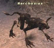 File:Marchosias.png