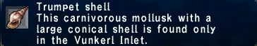 Trumpet Shell