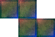 File:Rune Shape Z.gif