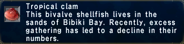 Tropical Clam