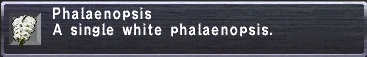 Image:Phalaenopsis.png